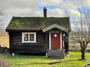 Backgårdens Timmerstuga, Falköping